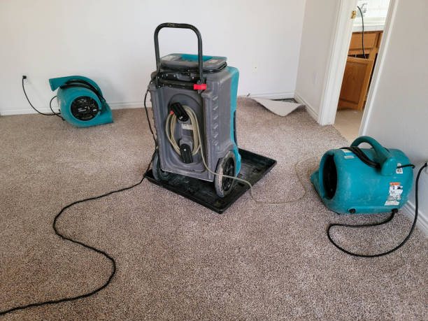 Best Water damage contractors near me  in Ladera Ranch, CA