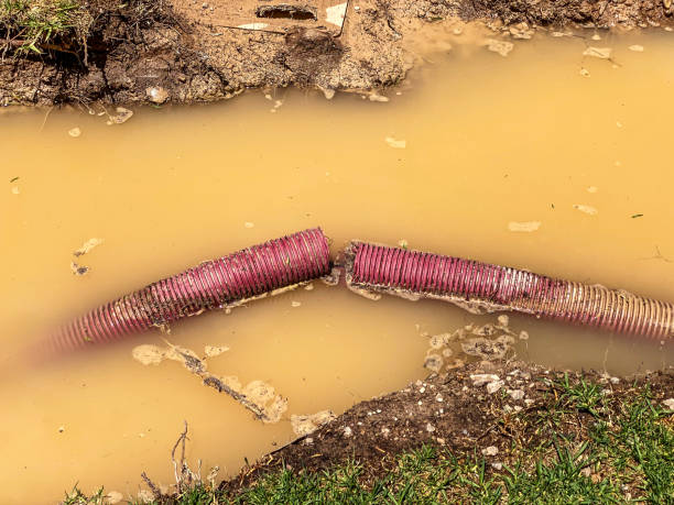 Best Water damage mitigation services  in Ladera Ranch, CA