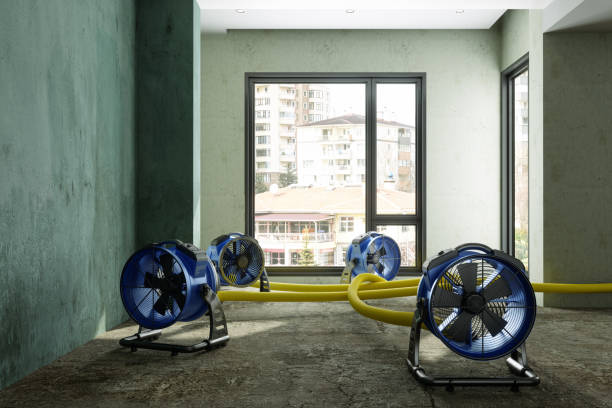 Best Residential water damage restoration  in Ladera Ranch, CA